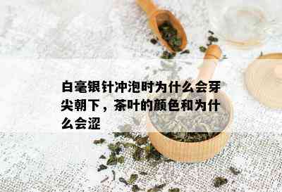 白毫银针冲泡时为什么会芽尖朝下，茶叶的颜色和为什么会涩