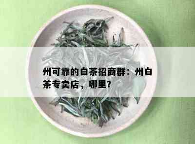 州可靠的白茶招商群：州白茶专卖店，哪里？