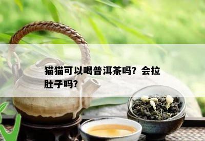 猫猫可以喝普洱茶吗？会拉肚子吗？