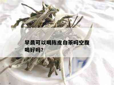 早晨可以喝陈皮白茶吗空腹喝好吗？