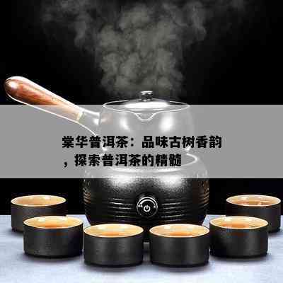 棠华普洱茶：品味古树香韵，探索普洱茶的精髓