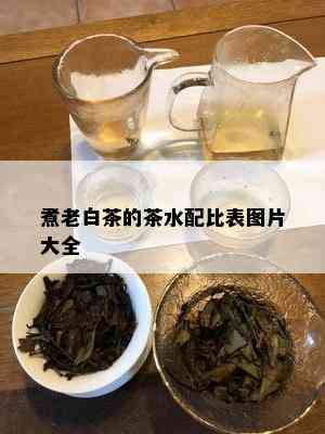 煮老白茶的茶水配比表图片大全