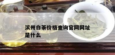 滨州白茶价格查询官网网址是什么