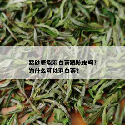 紫砂壶能泡白茶跟陈皮吗？为什么可以泡白茶？