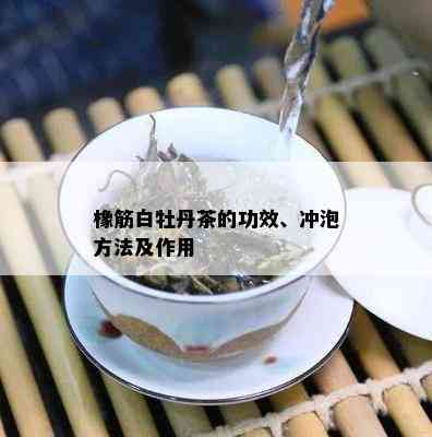 橡筋白牡丹茶的功效、冲泡方法及作用