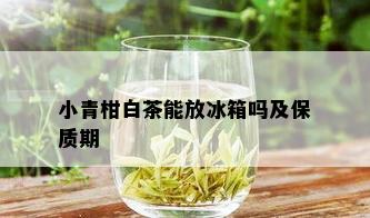 小青柑白茶能放冰箱吗及保质期