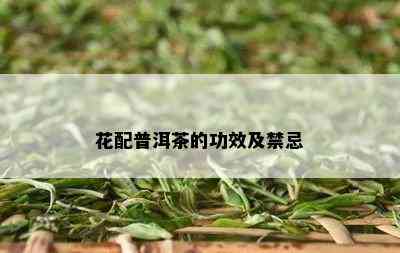 花配普洱茶的功效及禁忌