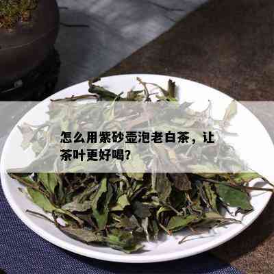 怎么用紫砂壶泡老白茶，让茶叶更好喝？