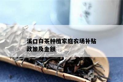 溪口白茶种植家庭农场补贴政策及金额