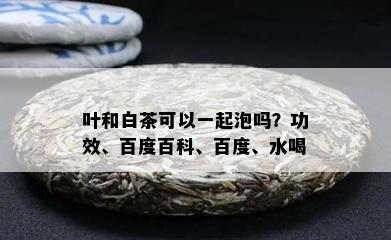 叶和白茶可以一起泡吗？功效、百度百科、百度、水喝