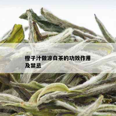 橙子汁做凉白茶的功效作用及禁忌