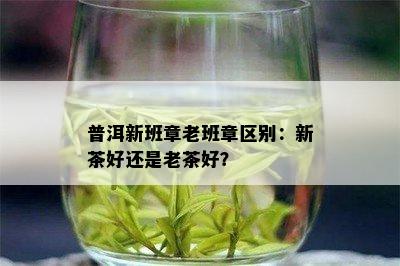 普洱新班章老班章区别：新茶好还是老茶好？