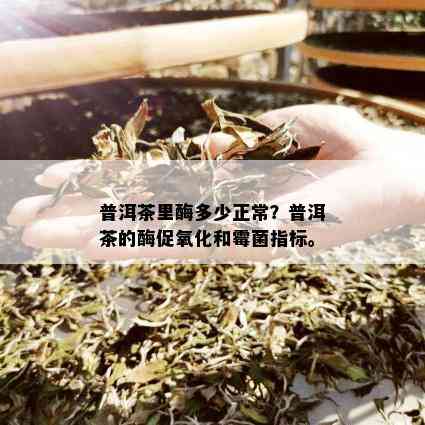 普洱茶里酶多少正常？普洱茶的酶促氧化和霉菌指标。