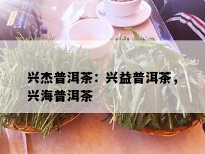 兴杰普洱茶：兴益普洱茶，兴海普洱茶