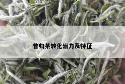 昔归茶转化潜力及特征