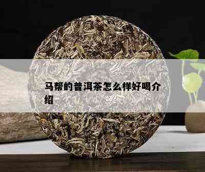 马帮的普洱茶怎么样好喝介绍