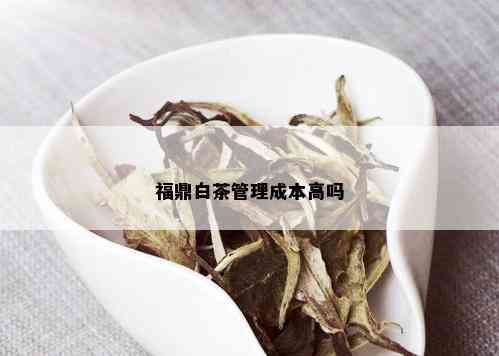 福鼎白茶管理成本高吗