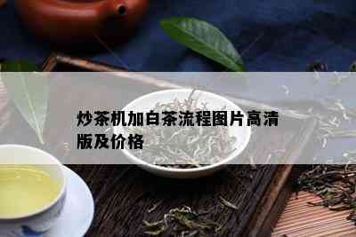 炒茶机加白茶流程图片高清版及价格