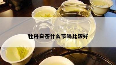 牡丹白茶什么节喝比较好