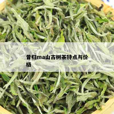 昔归ma山古树茶特点与价格