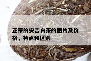 正宗的安吉白茶的图片及价格，特点和区别