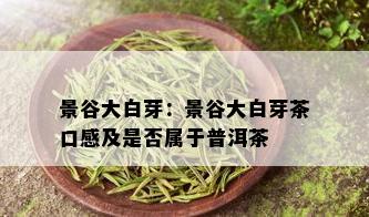 景谷大白芽：景谷大白芽茶口感及是否属于普洱茶