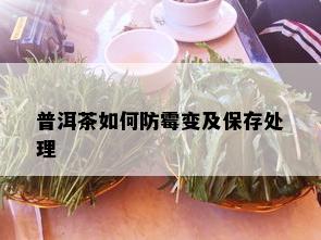 普洱茶如何防霉变及保存处理