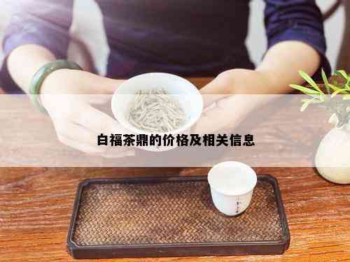 白福茶鼎的价格及相关信息