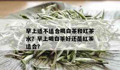 早上适不适合喝白茶和红茶水？早上喝白茶好还是红茶适合？