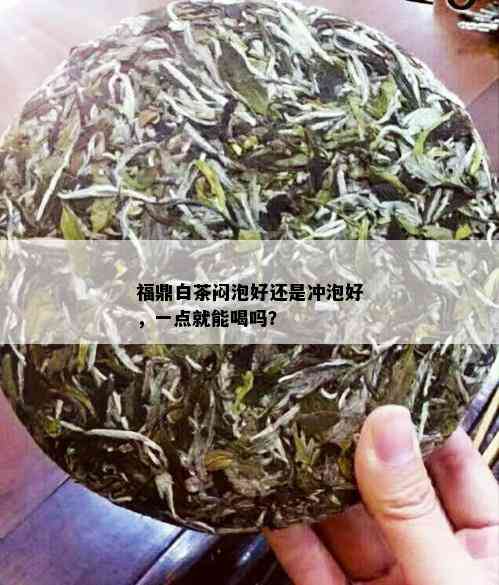 福鼎白茶闷泡好还是冲泡好，一点就能喝吗？