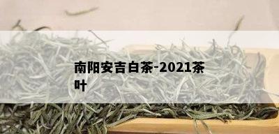 安吉白茶-2021茶叶