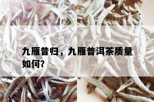 九雁昔归，九雁普洱茶质量如何？