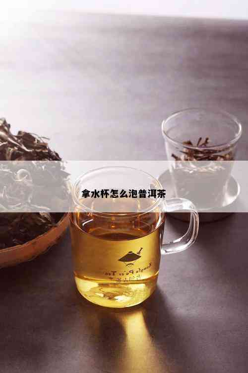 拿水杯怎么泡普洱茶