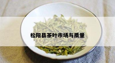 松阳县茶叶市场与质量