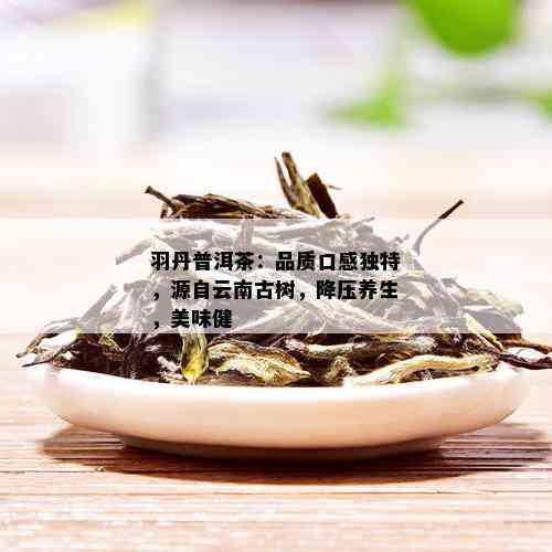 羽丹普洱茶：品质口感独特，源自云南古树，降压养生，美味健