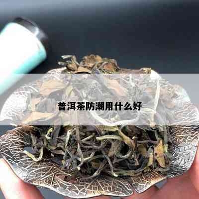 普洱茶防潮用什么好