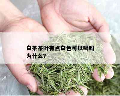 白茶茶叶有点白色可以喝吗为什么？