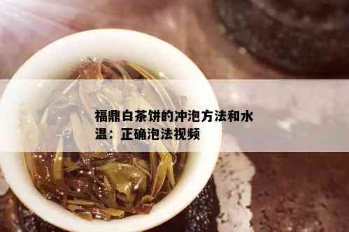 福鼎白茶饼的冲泡方法和水温：正确泡法视频