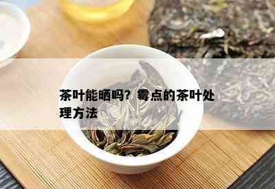 茶叶能晒吗？霉点的茶叶处理方法