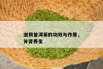 滋阴普洱茶的功效与作用，补肾养生