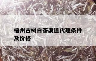 梧州古树白茶渠道代理条件及价格