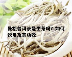 曼松普洱茶是生茶吗？如何饮用及其功效