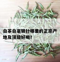 白茶白毫银针哪里的正宗产地及顶级好喝？