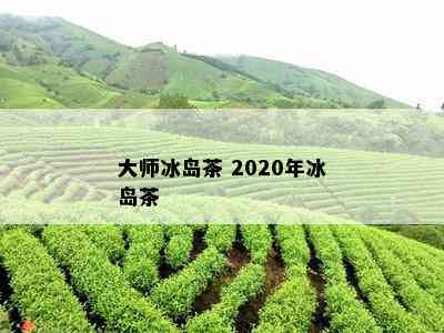 大师冰岛茶 2020年冰岛茶