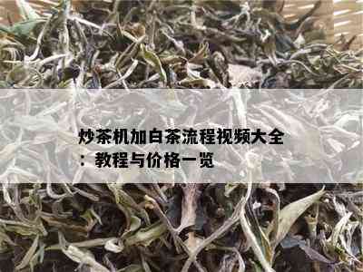 炒茶机加白茶流程视频大全：教程与价格一览