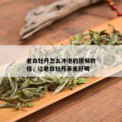 老白牡丹怎么冲泡的视频教程，让老白牡丹茶更好喝