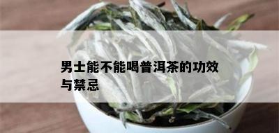 男士能不能喝普洱茶的功效与禁忌