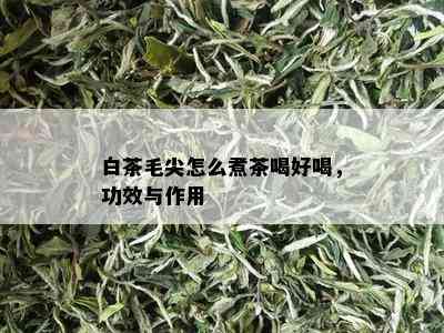 白茶毛尖怎么煮茶喝好喝，功效与作用