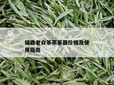 福鼎老白茶蒸茶器价格及使用指南