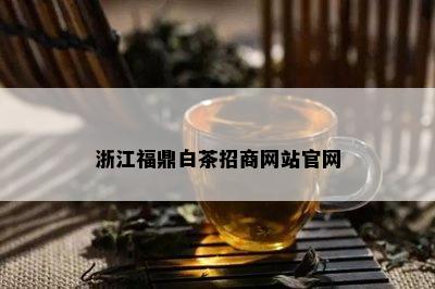 浙江福鼎白茶招商网站官网